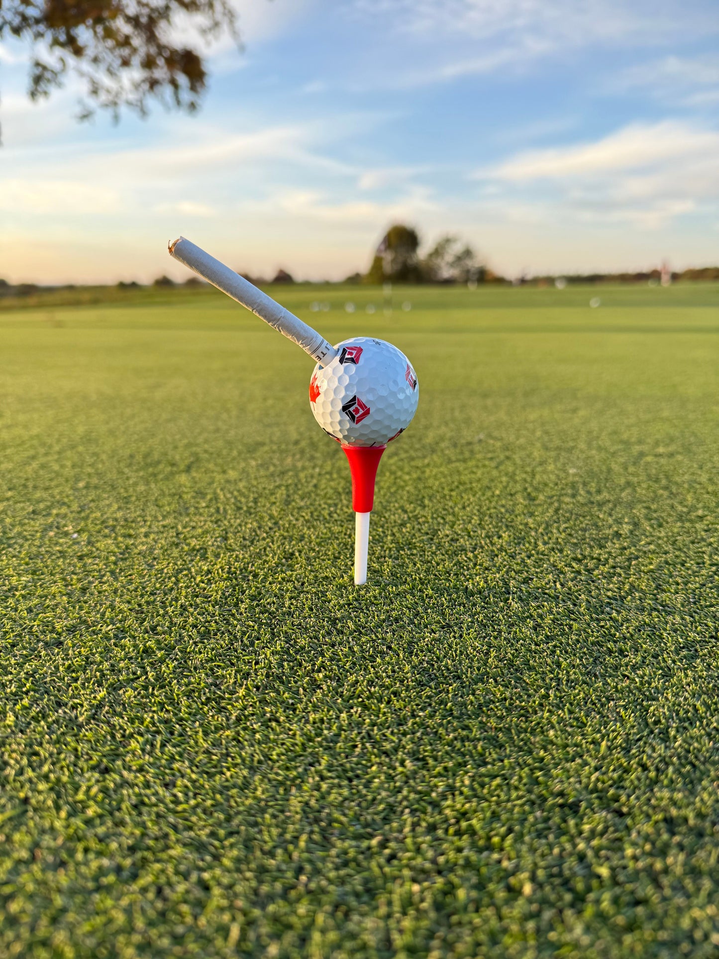 Limited Cigarette Holder