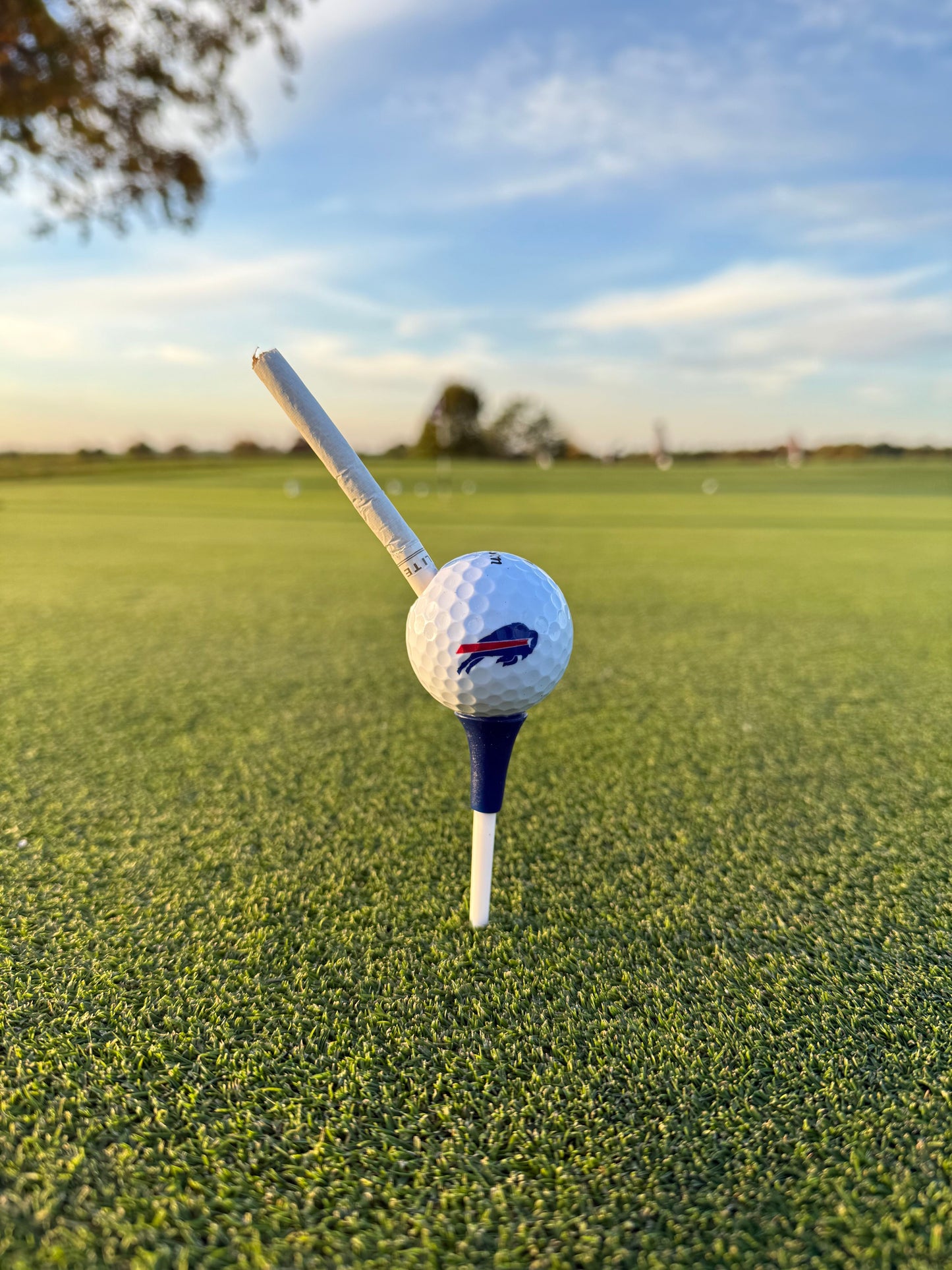 Sports Team Cigarette Holders