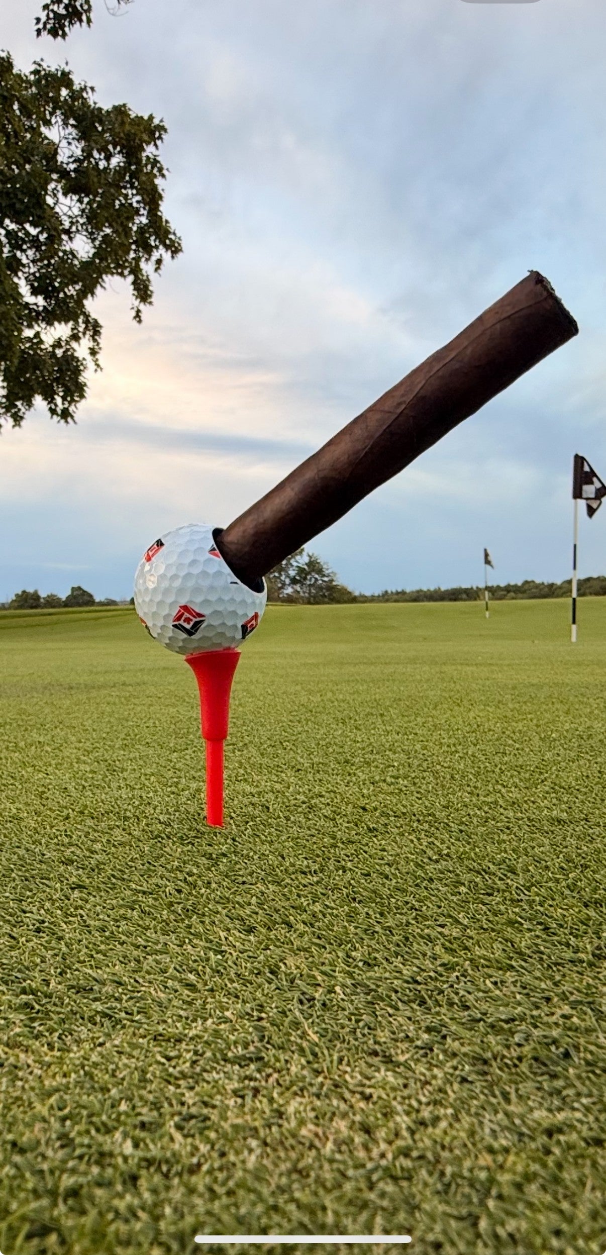 Limited Cigar Holder